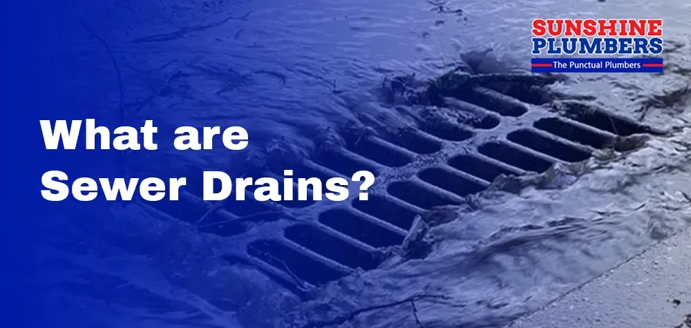 What are Sewer Drains?