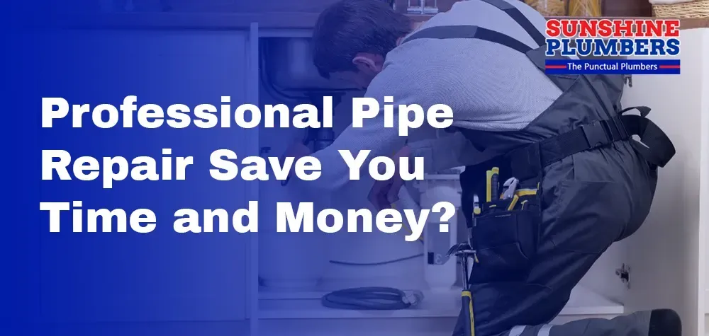 How Can Professional Pipe Repair Save You Time and Money?
