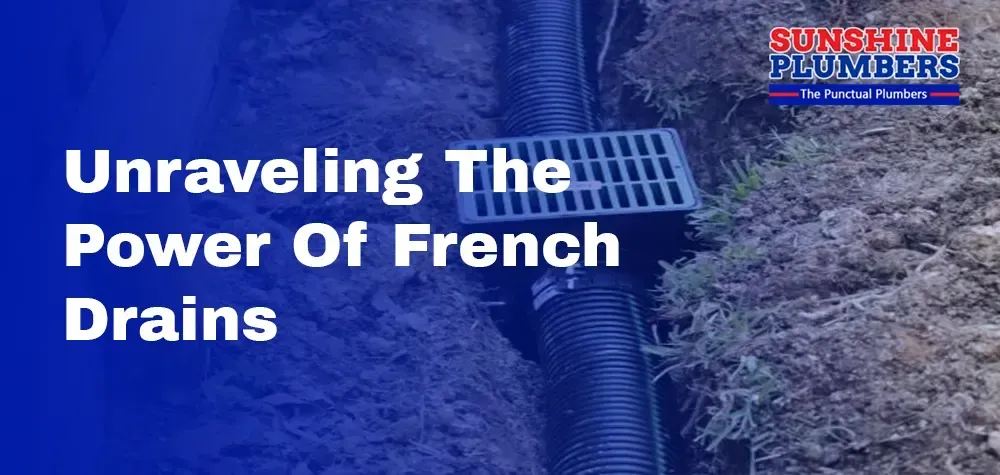 Hydrologic Harmony: Unraveling the Power of French Drains