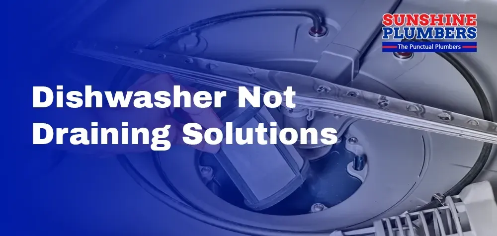 Dishwasher Not Draining Solutions