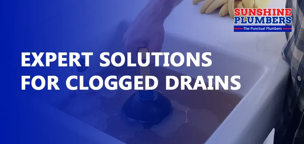 Expert Solutions for Clogged Drains