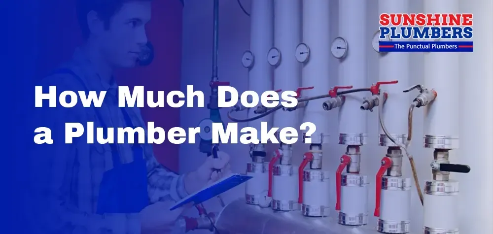 Unveiling the Truth: How Much Does a Plumber Make