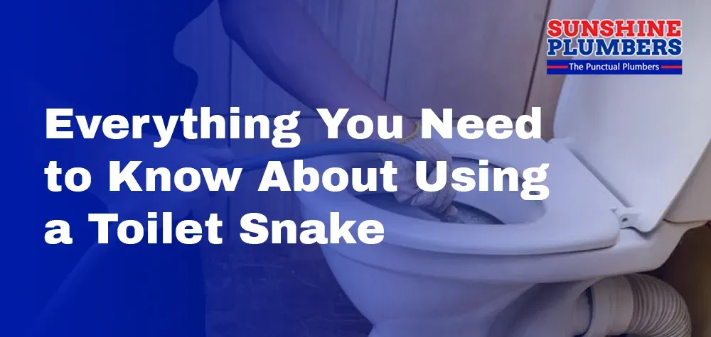 Everything You Need to Know About Using a Toilet Snake