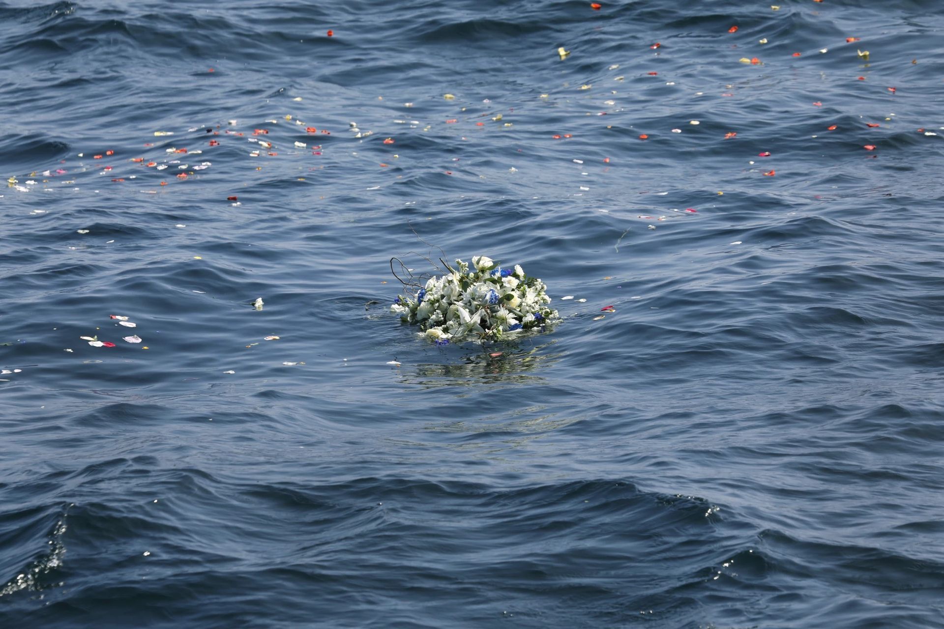 Small cluster of white flowers floating on rippled blue water