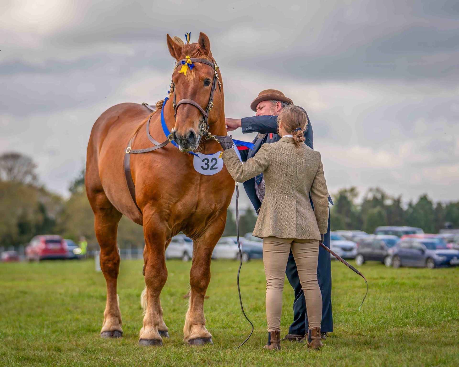 A man and a woman are standing next to a brown Suffolk Punch horse, giving the stallion an award for a horse show