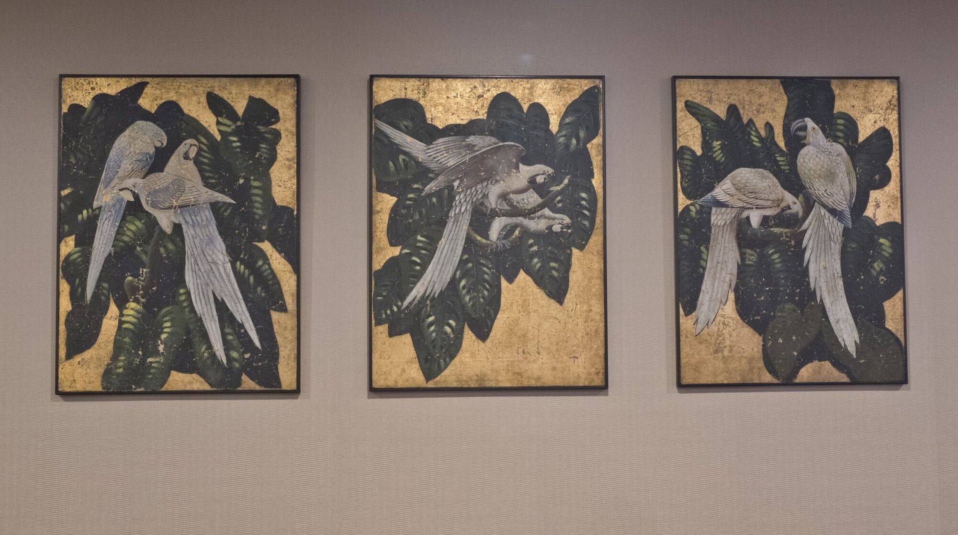 Three framed artworks: Birds with white feathers and green foliage against gold backgrounds.