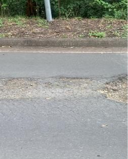 a Close Up of a Road With a Tree — JP Civilworx Pty Ltd in Lake Macquarie, NSW