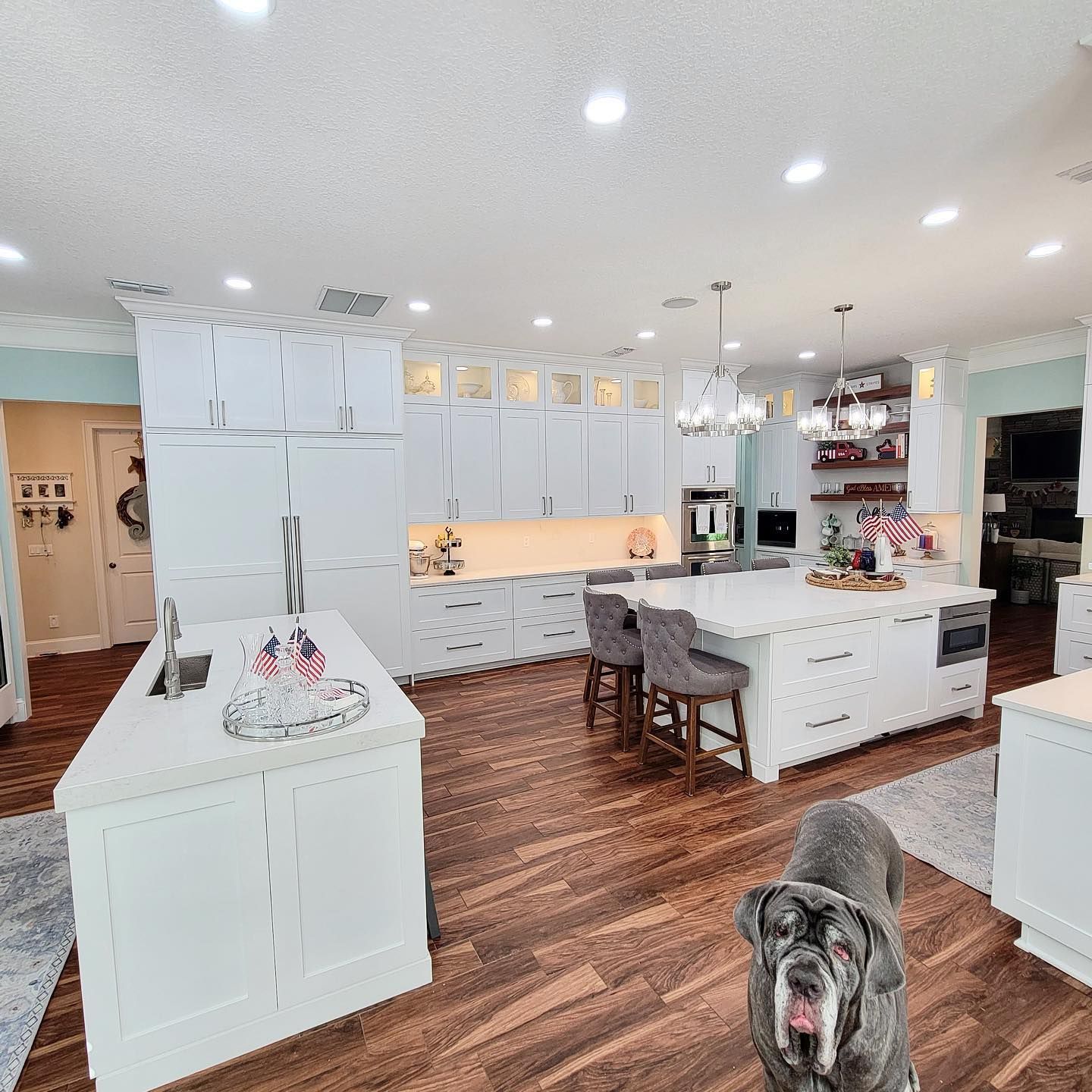 Spacious white kitchen with large island, cabinets, and a Neapolitan Mastiff dog.