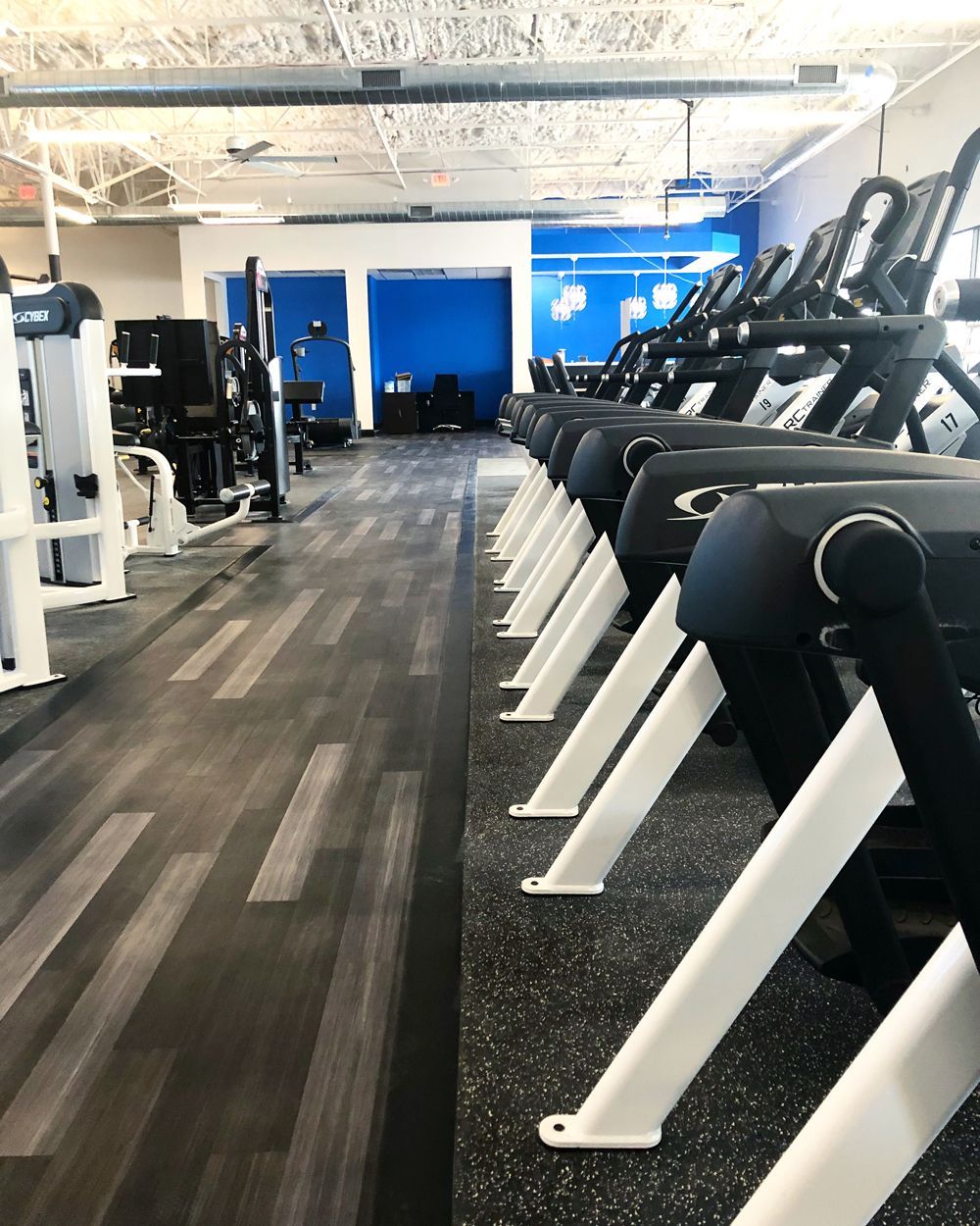 Row of treadmills in a gym, with black and white flooring, blue accent walls, and exercise equipment.