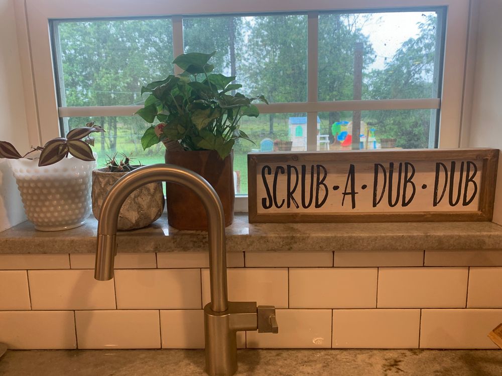 Kitchen sink area with plants, 
