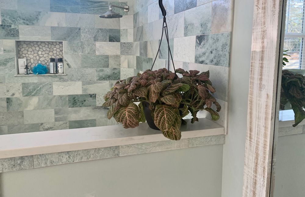 Hanging plant in front of a tiled shower. The tiles are light green/blue. A mirror is on the right side.