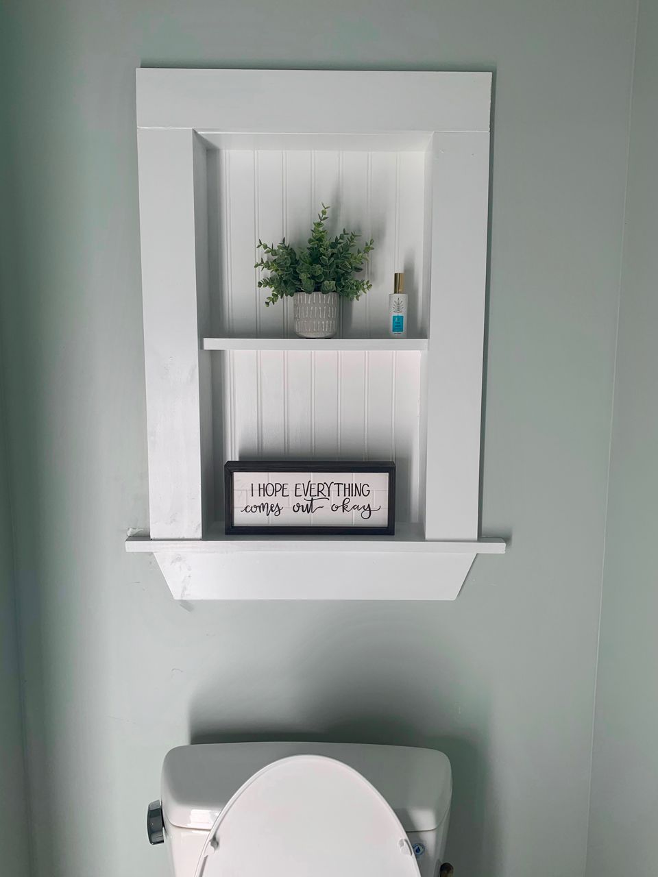 White recessed shelf above a toilet, holding a plant, hand sanitizer, and a sign.