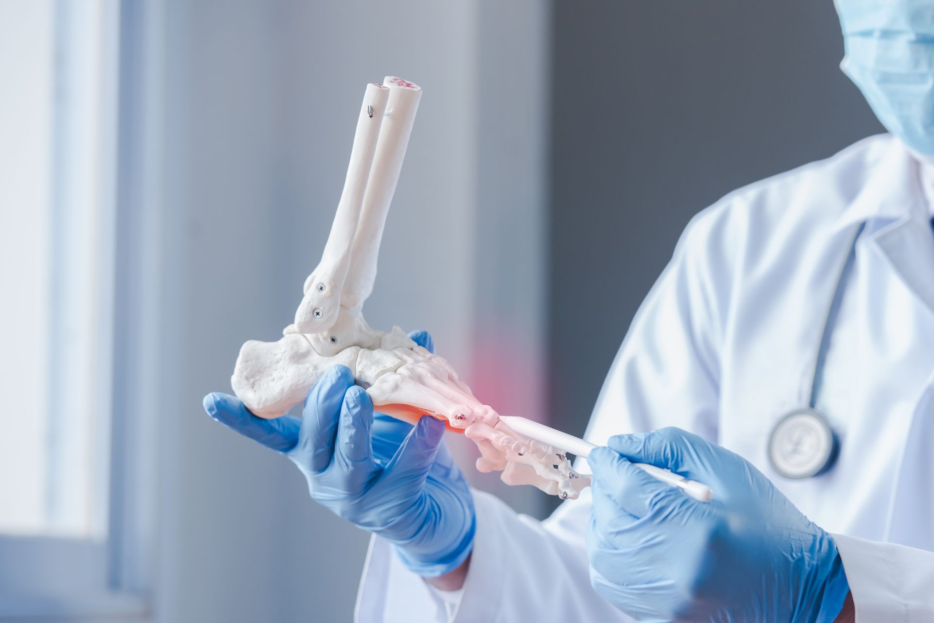 Doctor in blue gloves examining a human leg bone model in a clinical setting