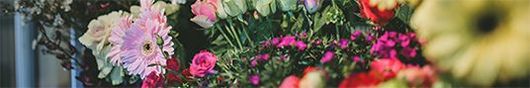 Bouquet Of Flowers — Weddings & Events In Woolgoolga, NSW Bouquet Of Flowers — Weddings & Events In Woolgoolga, NSW