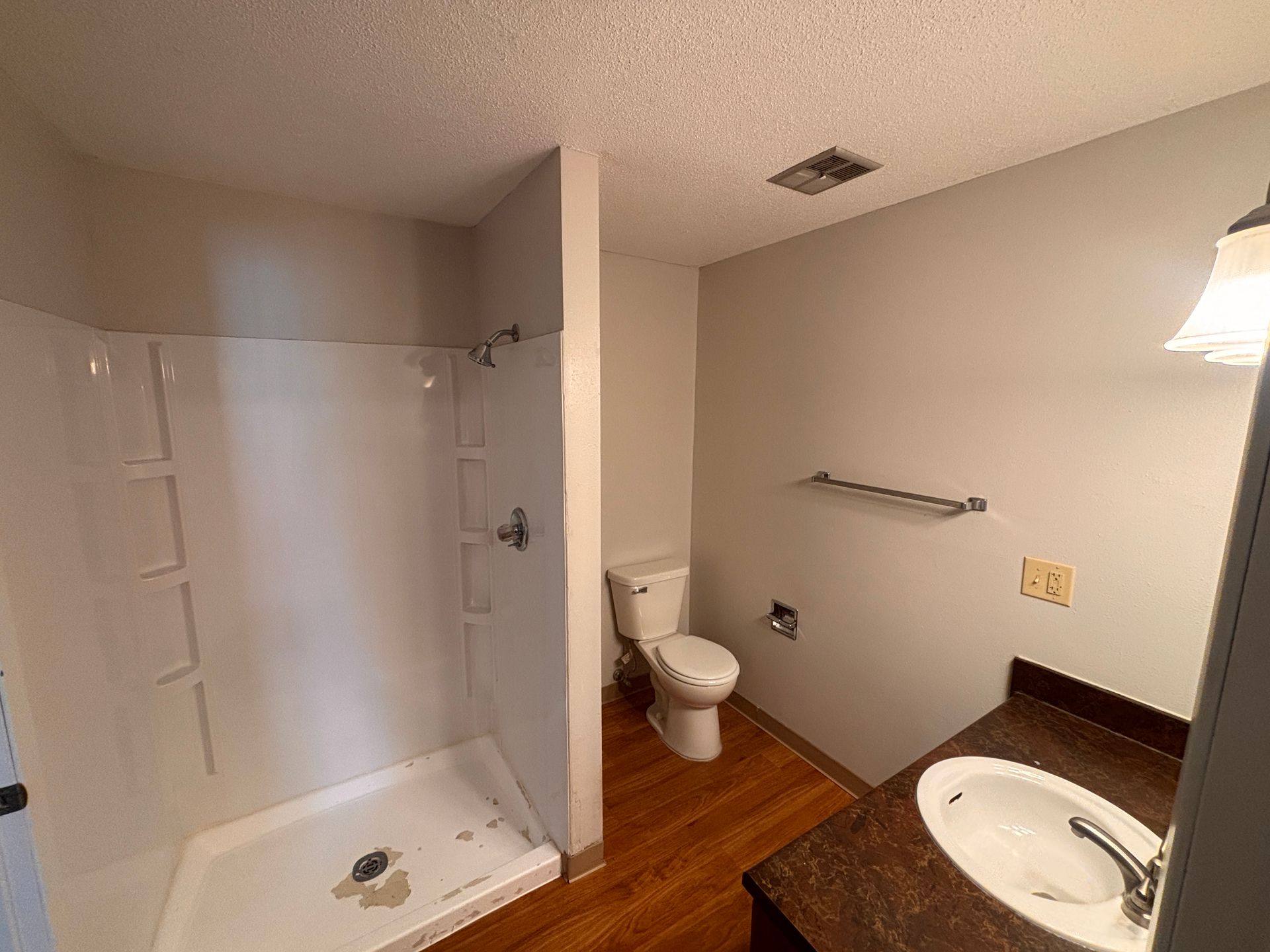 Bathroom with walk-in shower, toilet, and sink vanity on wood floor