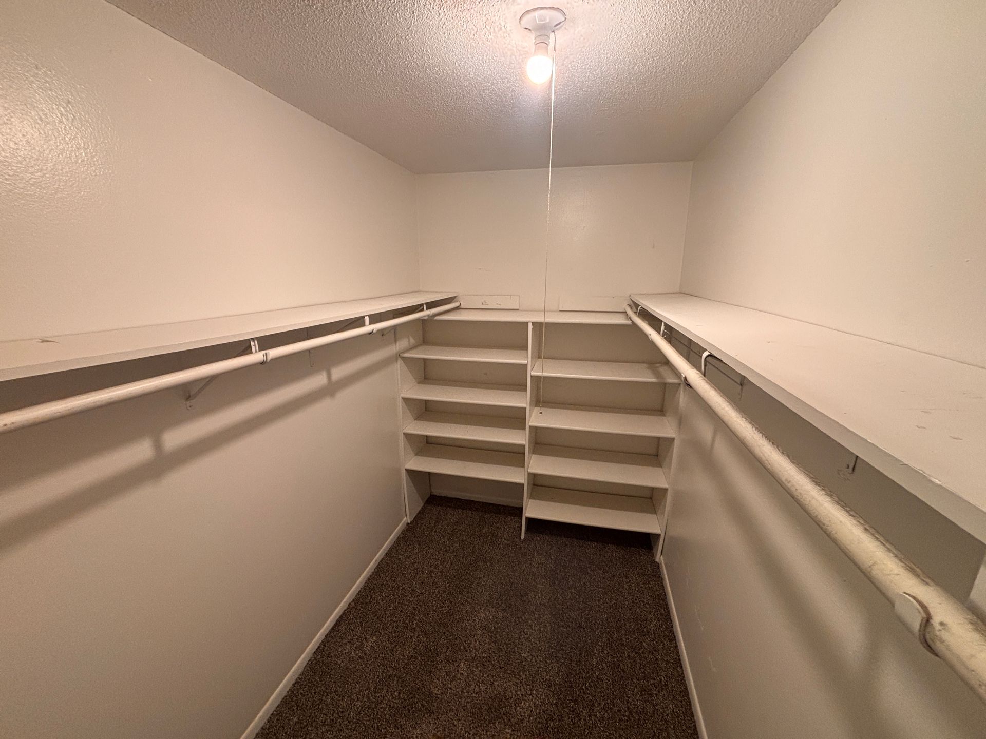 Empty walk-in closet with white shelves, hanging rods, and brown carpet.