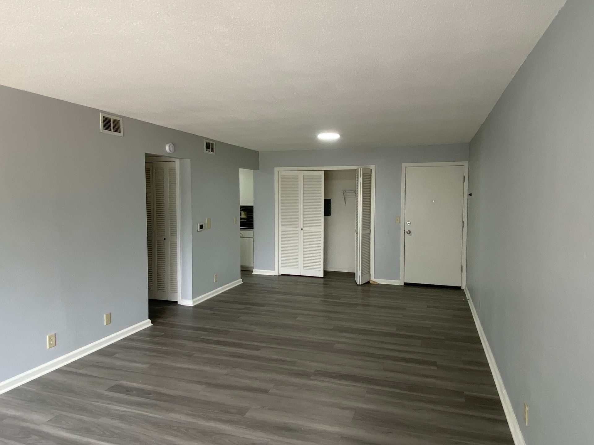 Empty gray room with wood-look floors, white doors, and a ceiling light.