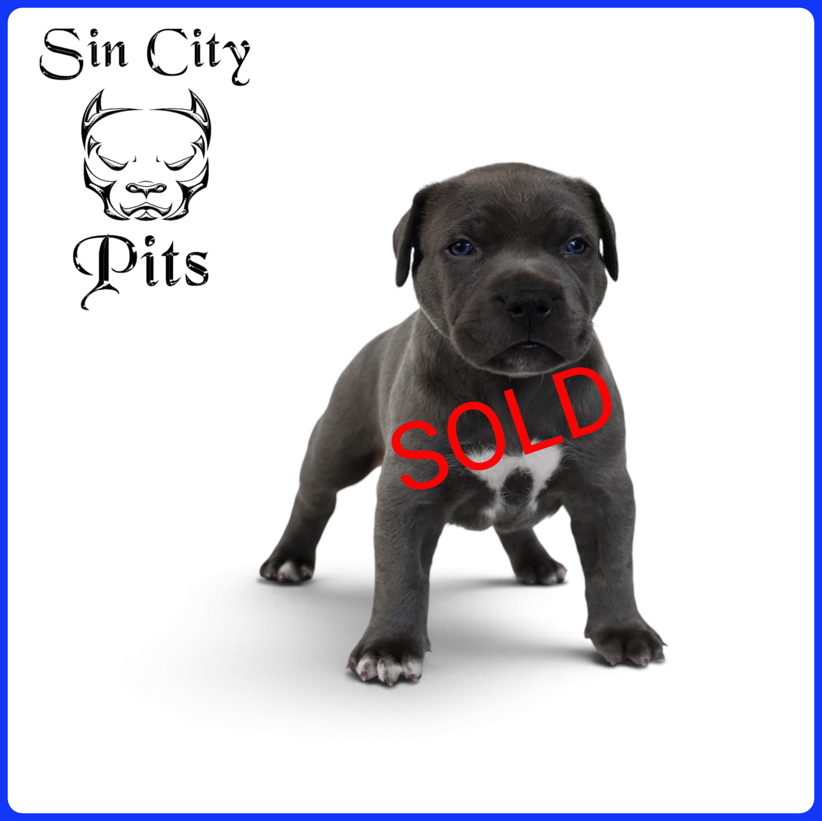 SOLD