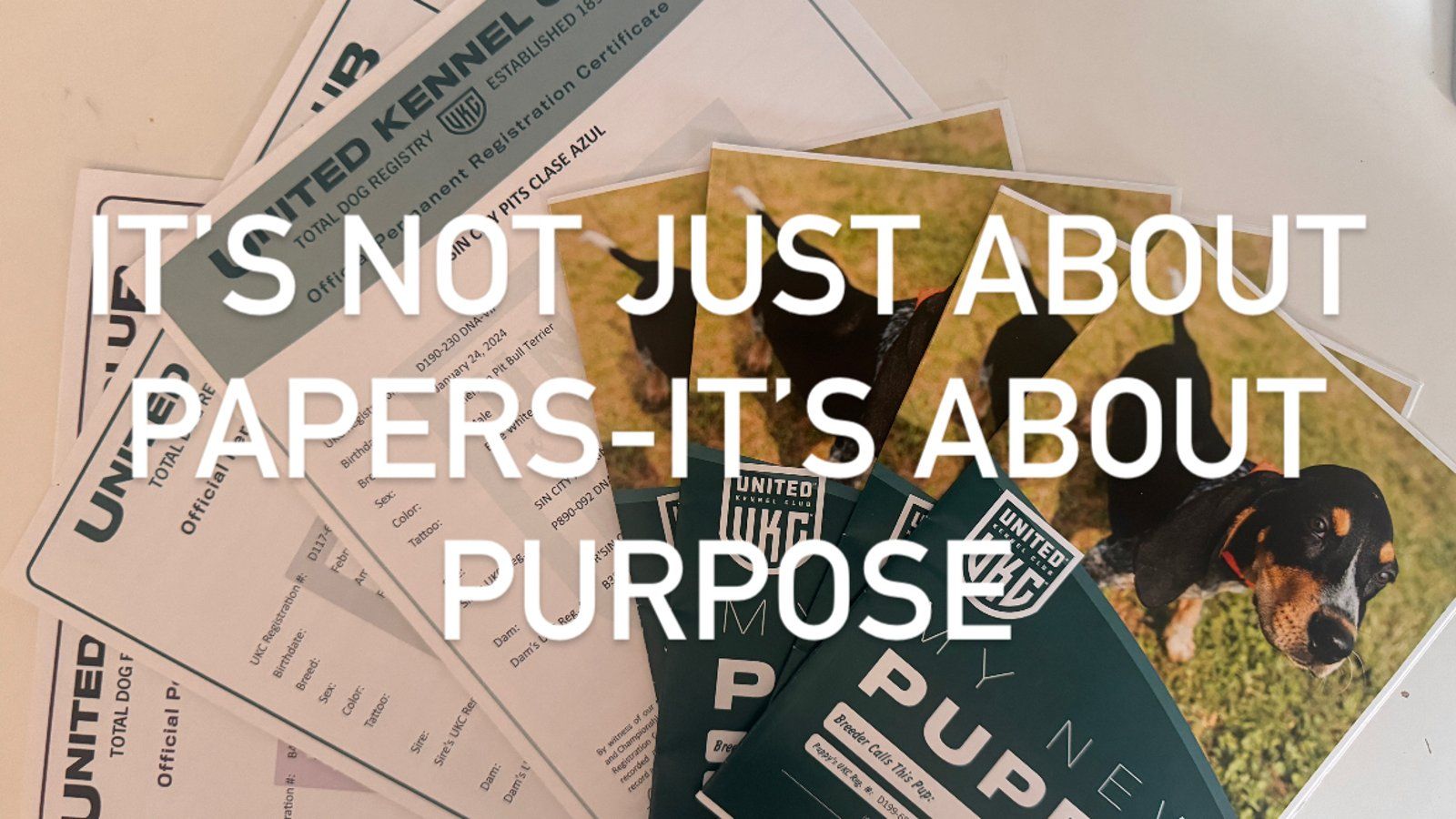 UKC papers and puppy packet with bold text overlay that reads: “It’s Not Just About Papers 