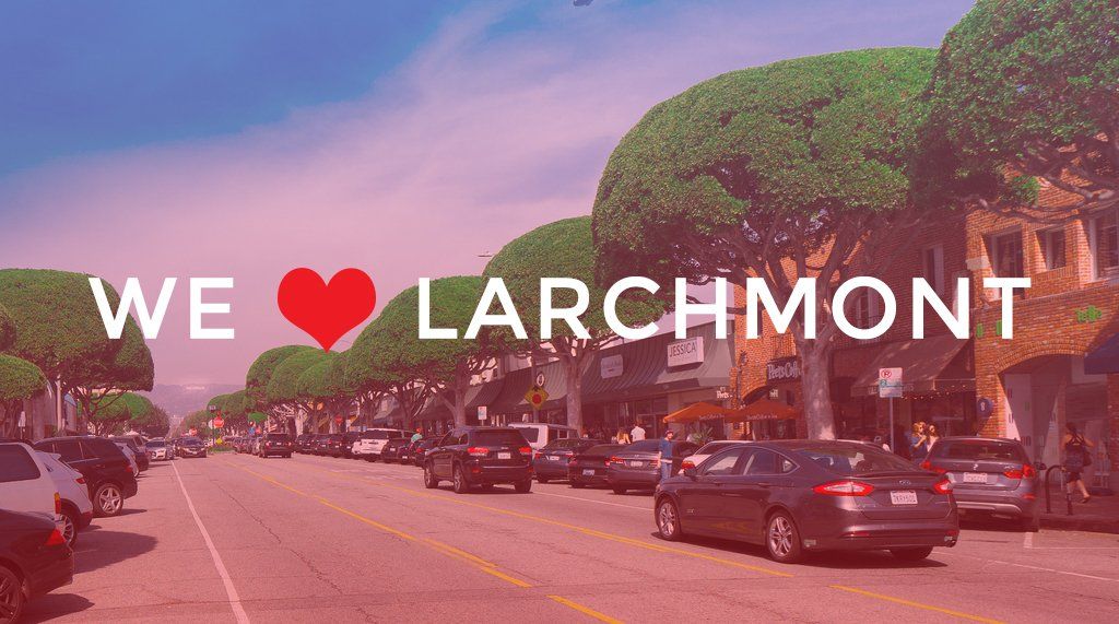 Drain Cleaning services Larchmont