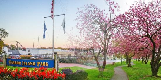 Plumbing services Mamaroneck NY
