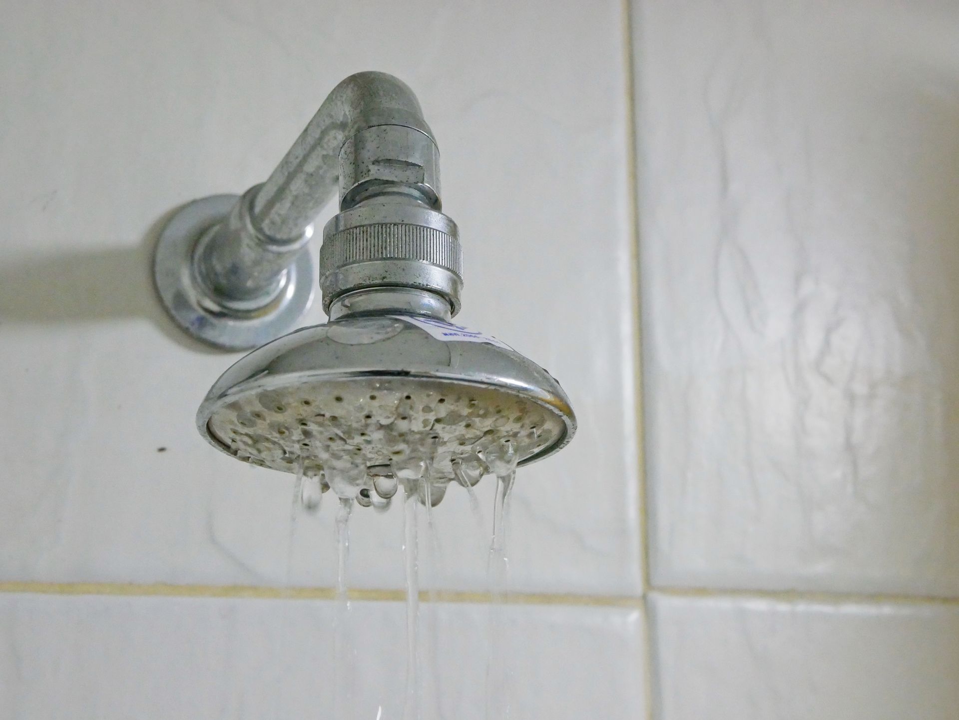 Close-up of clogged shower head with mineral buildup in residential bathroom New Rochelle NY.