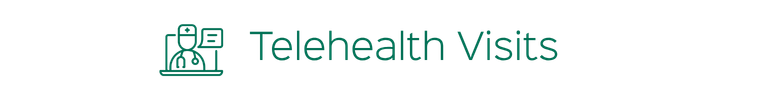 Telehealth Visits icon with a computer monitor and medical figures in teal.
