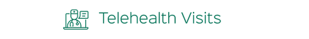 Telehealth Visits heading with teal icon of a person on a computer screen
