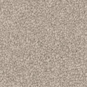 A close up of a beige carpet texture.