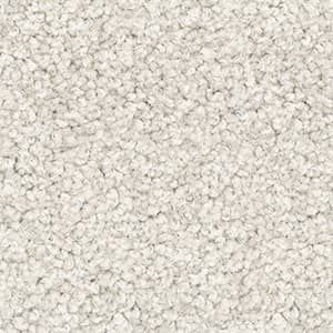 bone solution dyed nylon carpet