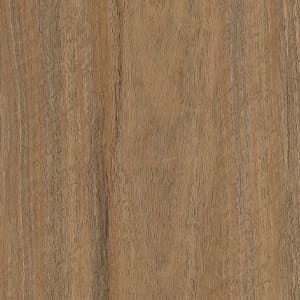 A close up of a piece of wood showing the grain and texture.