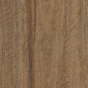 A close up of a piece of wood showing the grain and texture.