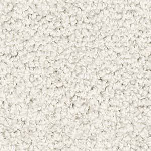 chamois solution dyed nylon carpet