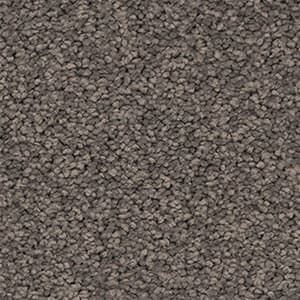 solution dyed nylon carpet chesnut