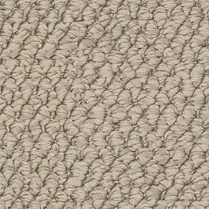 A close up of a beige carpet texture.