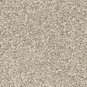 triexta carpet in the colour cloud