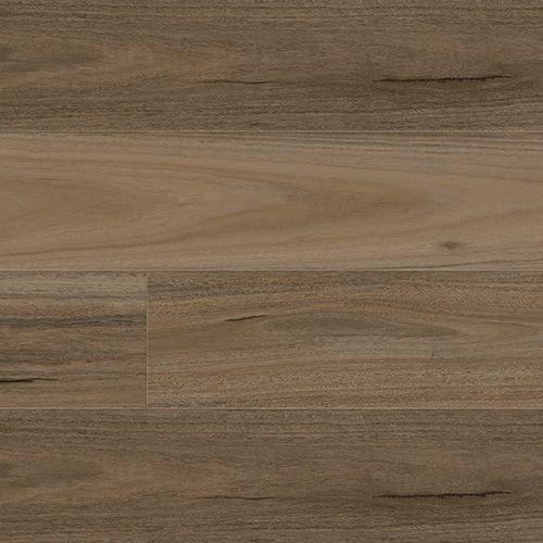 country spotted gum hybrid flooring