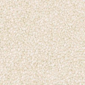 Triexta Carpet in the colour cream cloak