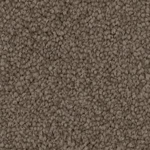 triexta carpet in the colour earthen