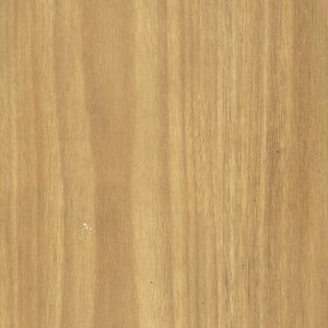 A close up of a piece of wood showing the grain and texture.