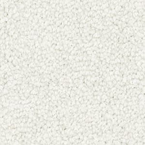 A close up of a white carpet texture.