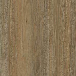 A close up of a piece of wood showing the grain and texture.