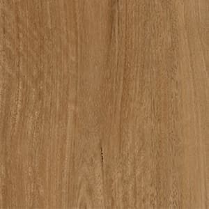 A close up of a piece of wood showing the grain and texture.