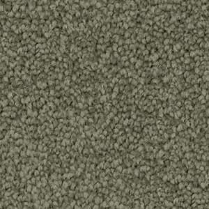 A close up of a carpet with a lot of small dots on it.