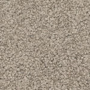 mushroom solution dyed nylon carpet