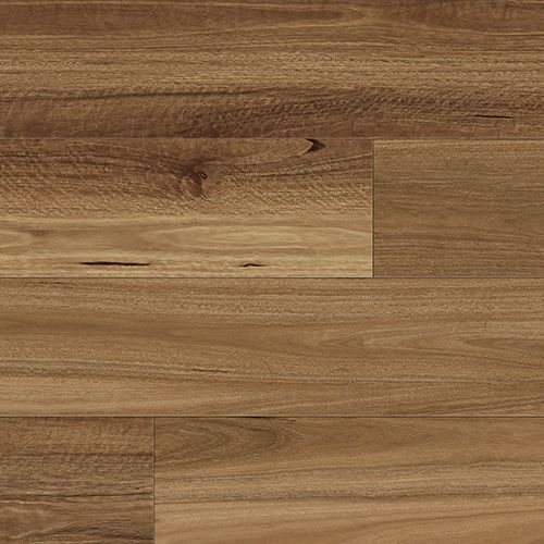 nsw spotted gum hybrid flooring