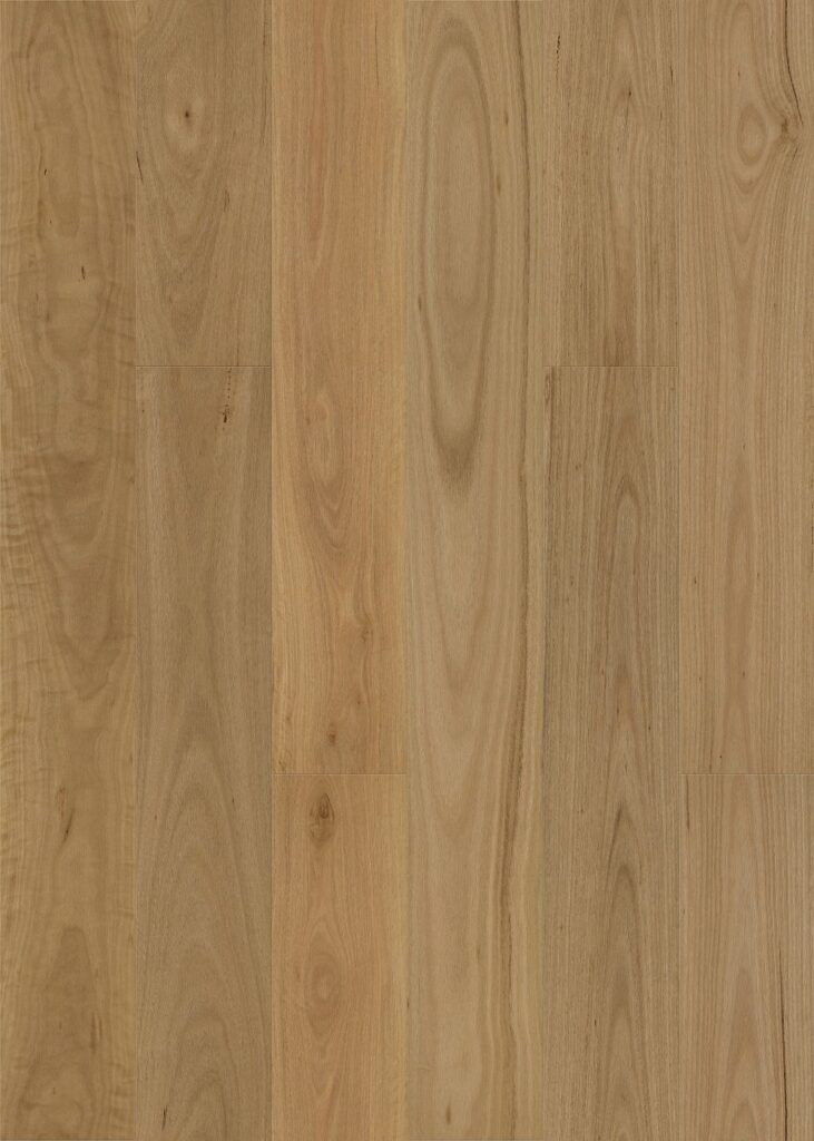 native plank brushed blackbutt swatch