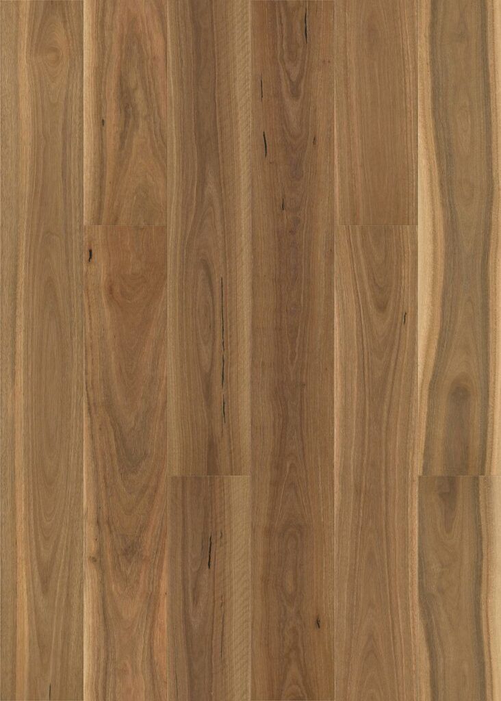 native plank brushed spotted gum