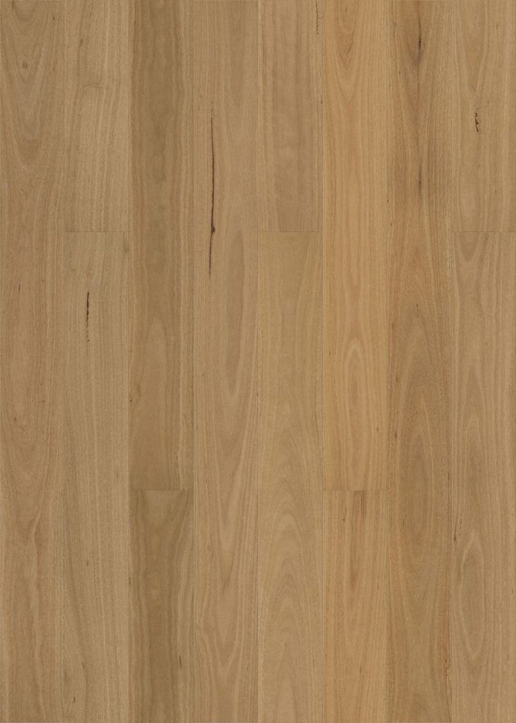 native plank smooth blackbutt