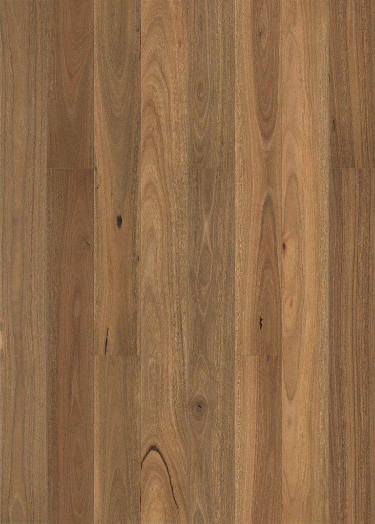 native plank smooth spotted gum